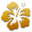 ✇